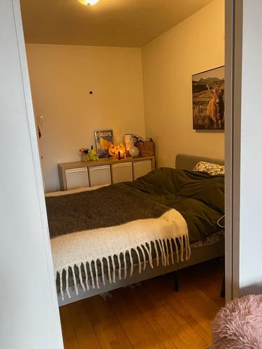 1 bedroom apartment for rent in Montreal - Rosemont–La Petite-Patrie — photo 4