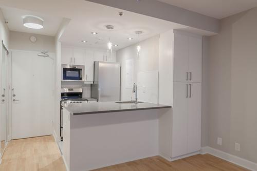 Appartement de 1 chambre à louer à Montreal - Le Plateau-Mont-Royal — photo 2