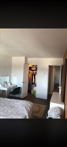 1 bedroom apartment for rent in Montreal - Le Plateau-Mont-Royal — photo 4