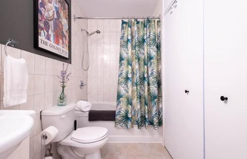 Appartement de 1 chambre à louer à Montreal - Rosemont–La Petite-Patrie — photo 9