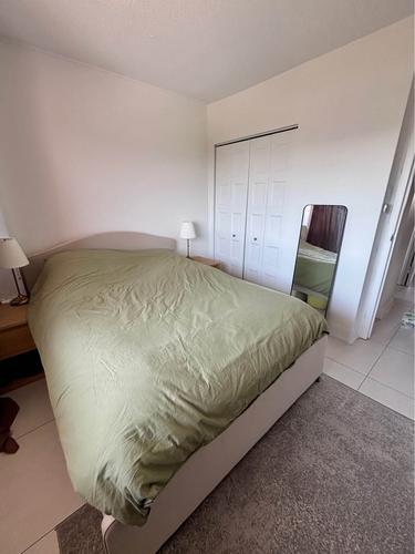 Appartement de 1 chambre à louer à Montreal - Le Plateau-Mont-Royal — photo 13