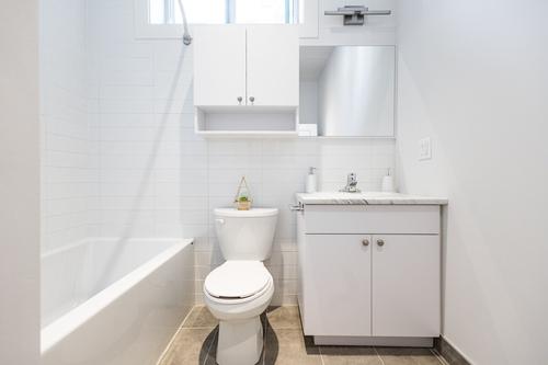 1 bedroom apartment for rent in Montreal - Le Plateau-Mont-Royal — photo 30