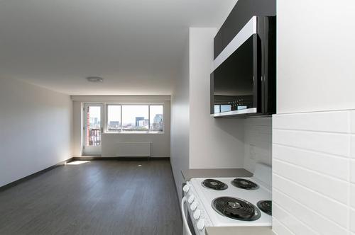1 bedroom apartment for rent in Montreal - Le Plateau-Mont-Royal — photo 6