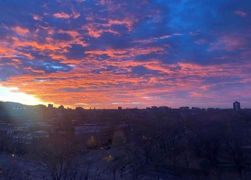 1 bedroom apartment for rent in Montreal - Ville-Marie — photo 9