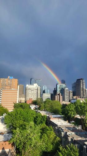 1 bedroom apartment for rent in Montreal - Le Plateau-Mont-Royal — photo 5