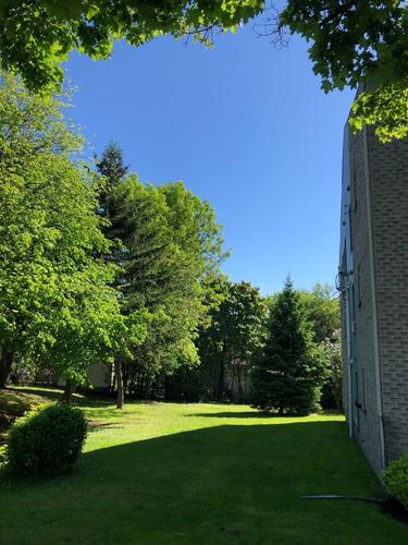 1 bedroom apartment for rent in Québec - Les Rivières — photo 2