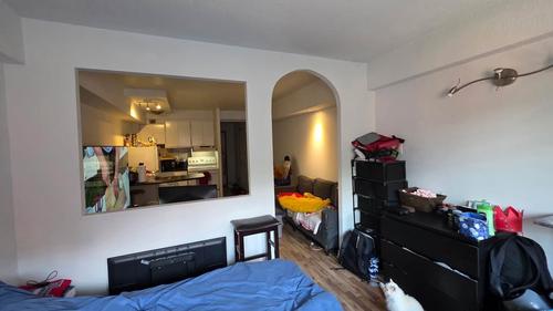 Studio for rent in Montreal - Le Plateau-Mont-Royal — photo 13