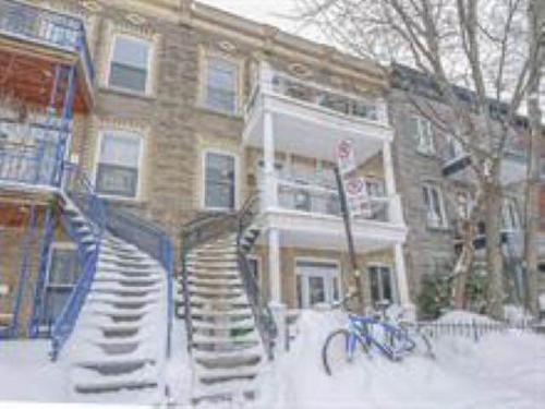 1 bedroom apartment for rent in Montreal - Le Plateau-Mont-Royal — photo 5