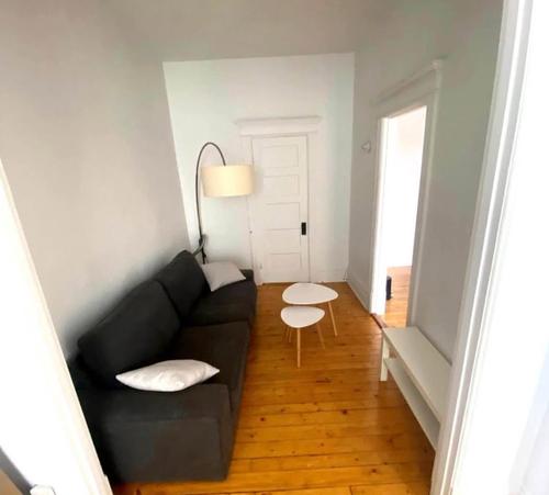 Appartement de 1 chambre à louer à Montreal - Le Plateau-Mont-Royal — photo 3