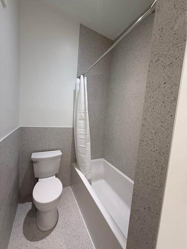 Appartement de 1 chambre à louer à Montreal - Le Plateau-Mont-Royal — photo 4