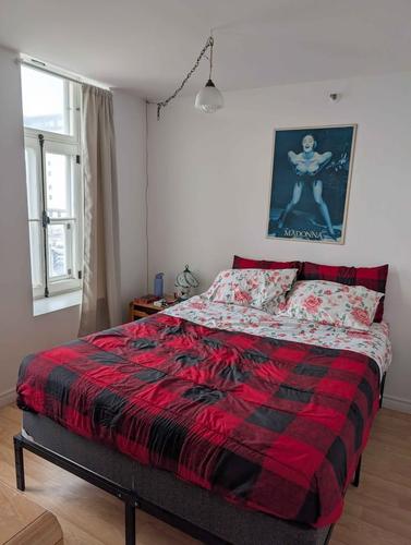 Appartement de 1 chambre à louer à Québec - La Cité-Limoilou — photo 9