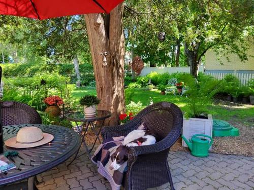 3 bedrooms apartment for rent in Lévis — photo 3