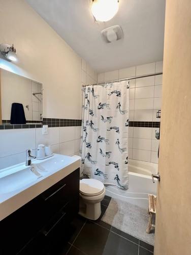 Appartement de 1 chambre à louer à Montreal - Rosemont–La Petite-Patrie — photo 7