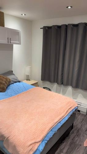 Studio à louer à Montreal - Mercier–Hochelaga-Maisonneuve — photo 2