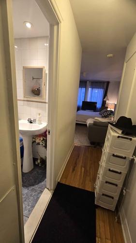 Studio for rent in Montreal - Le Plateau-Mont-Royal — photo 10