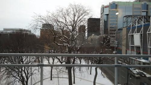 1 bedroom apartment for rent in Montreal - Ville-Marie — photo 4