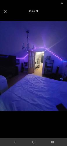2 bedrooms apartment for rent in Longueuil — photo 20