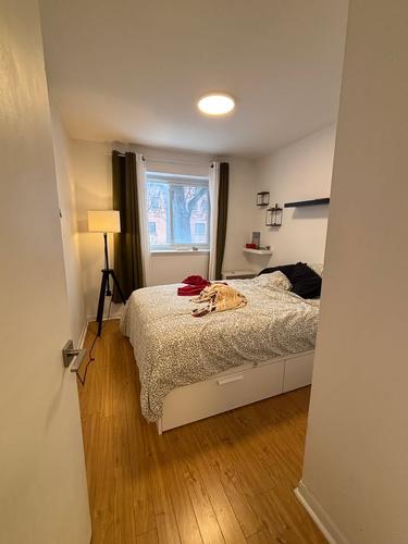Studio for rent in Québec - La Cité-Limoilou — photo 4