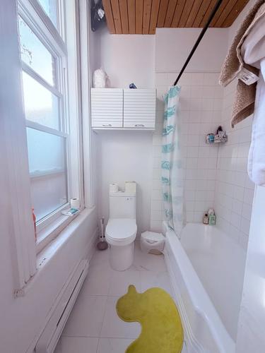1 bedroom apartment for rent in Montreal - Le Plateau-Mont-Royal — photo 11