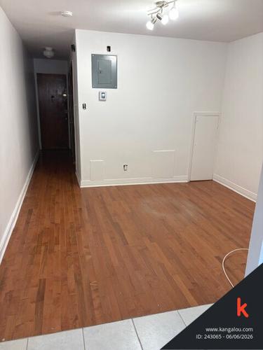 1 bedroom apartment for rent in Montreal - Rosemont–La Petite-Patrie — photo 6