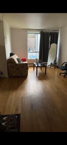Appartement de 1 chambre à louer à Montreal - Saint-Laurent — photo 3