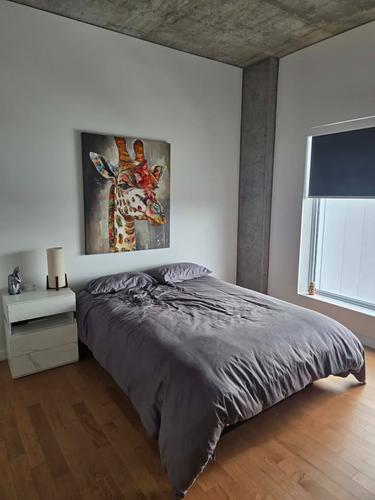 3 bedrooms apartment for rent in Québec - La Cité-Limoilou — photo 5