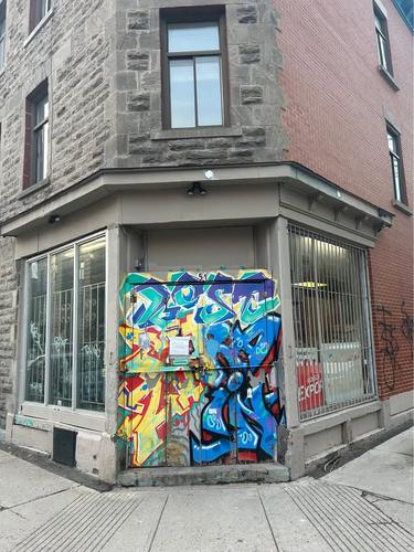 Appartement de 4 chambres à louer à Montreal - Le Plateau-Mont-Royal — photo 12