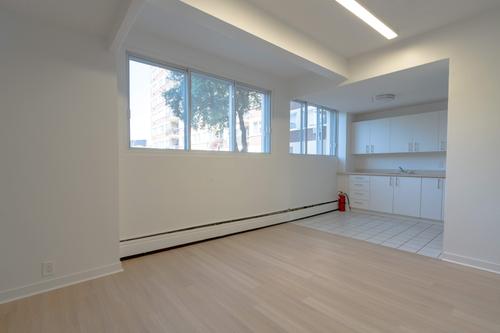 Appartement de 1 chambre à louer à Montreal - Saint-Laurent — photo 4