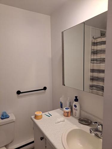 Appartement de 1 chambre à louer à Lévis — photo 7
