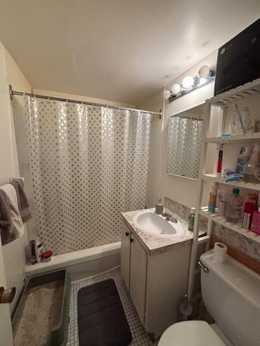 Studio for rent in Montreal - Le Plateau-Mont-Royal — photo 3