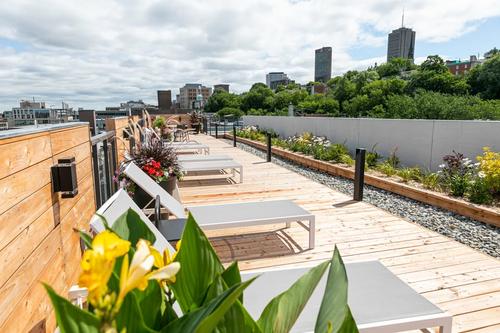 Appartement de 2 chambres à louer à Québec - La Cité-Limoilou — photo 8