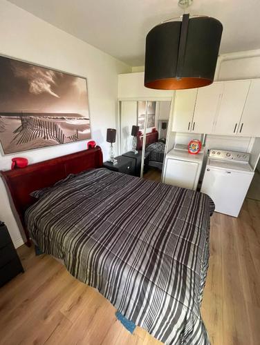 1 bedroom apartment for rent in Montreal - Ville-Marie — photo 7
