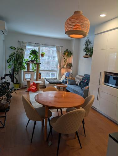 Appartement de 1 chambre à louer à Montreal - Ville-Marie — photo 3