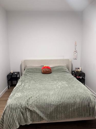 2 bedrooms apartment for rent in Montreal - Rosemont–La Petite-Patrie — photo 13