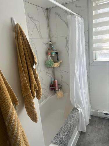 2 bedrooms apartment for rent in Québec - Sainte-Foy–Sillery–Cap-Rouge — photo 9