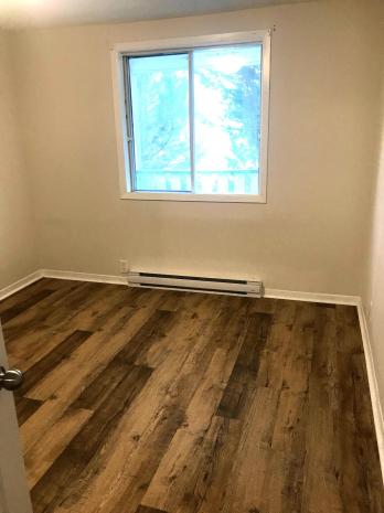 Appartement de 1 chambre à louer à Gatineau — photo 4