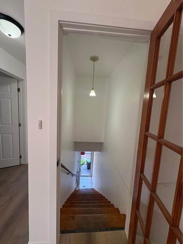 Appartement de 2 chambres à louer à Montreal - Rosemont–La Petite-Patrie — photo 7