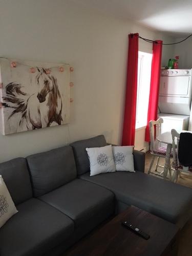 Appartement de 1 chambre à louer à Québec - La Cité-Limoilou — photo 7