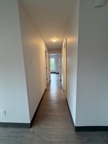 Appartement de 2 chambres à louer à Montreal - Le Plateau-Mont-Royal — photo 3
