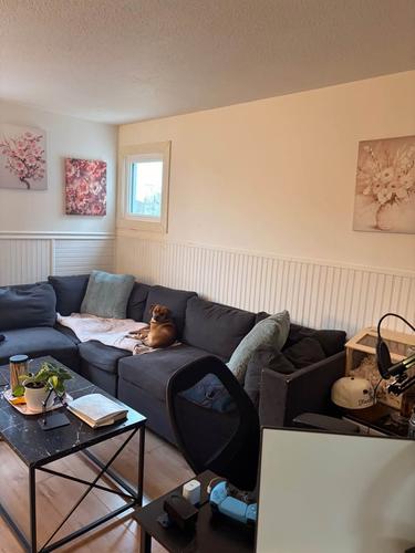 1 bedroom apartment for rent in Gatineau — photo 10