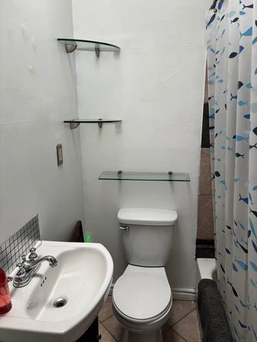 1 bedroom apartment for rent in Montreal - Le Plateau-Mont-Royal — photo 4