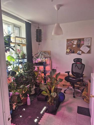 Appartement de 2 chambres à louer à Québec - La Cité-Limoilou — photo 12