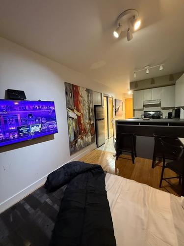 Studio for rent in Montreal - Le Plateau-Mont-Royal — photo 4