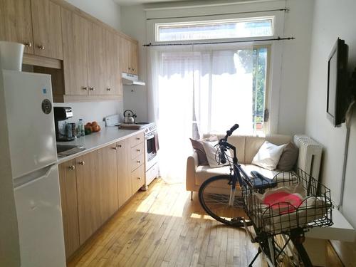 1 bedroom apartment for rent in Montreal - Le Plateau-Mont-Royal — photo 2