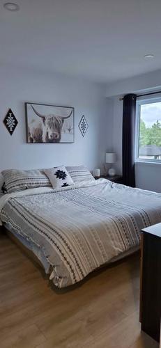 2 bedrooms apartment for rent in Lévis — photo 9