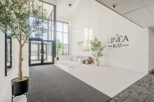 Appartement de 3 chambres à louer à Sherbrooke — photo 40