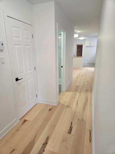 2 bedrooms apartment for rent in Montreal - Le Plateau-Mont-Royal — photo 4