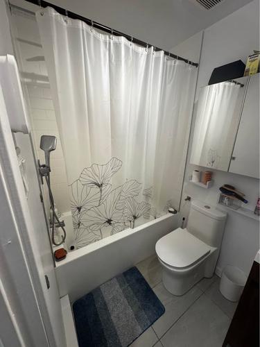 2 bedrooms apartment for rent in Montreal - Rosemont–La Petite-Patrie — photo 6