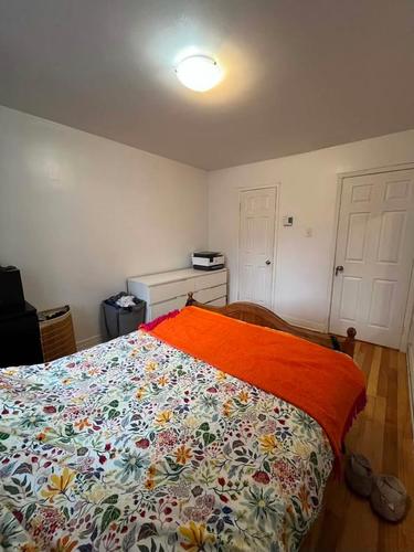 1 bedroom apartment for rent in Montreal - Rosemont–La Petite-Patrie — photo 3