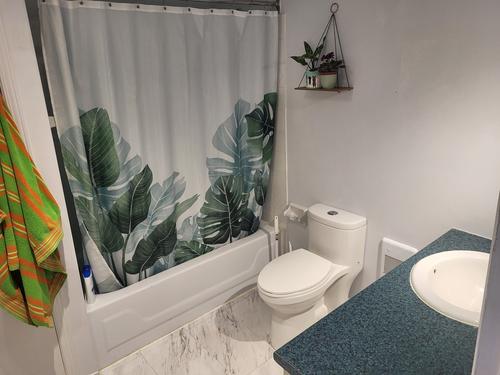 1 bedroom apartment for rent in Gatineau — photo 4